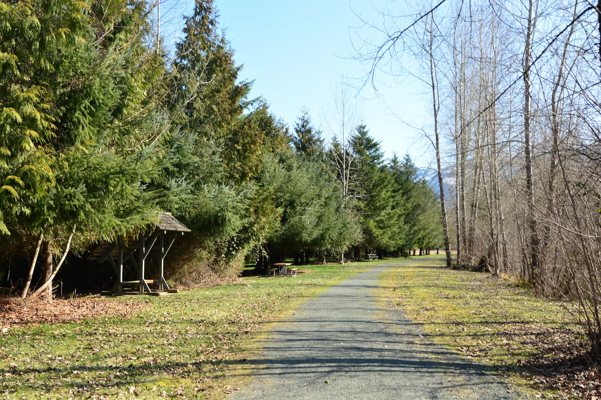 wedding and party rentals in deming