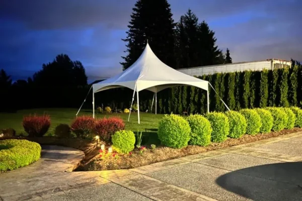 How to Plan a Backyard Wedding with Style (Using Rentals to Make It Magical)