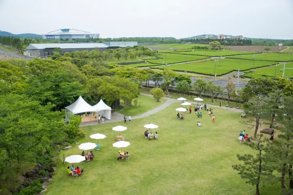 How to Plan a Stylish Outdoor Event Without Breaking the Bank