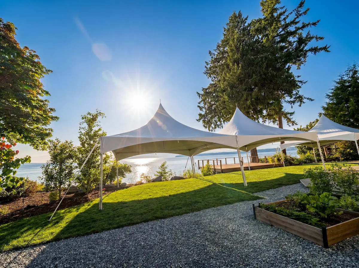 Generated Image February 28, 2026 - 9_16PM Generated Image February 28, 2026 - 9_16PM