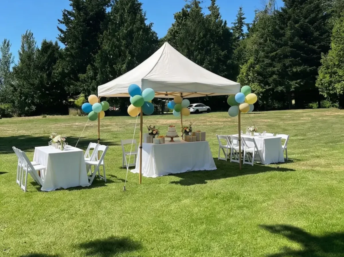 outdoor birthday party setup outdoor birthday party setup